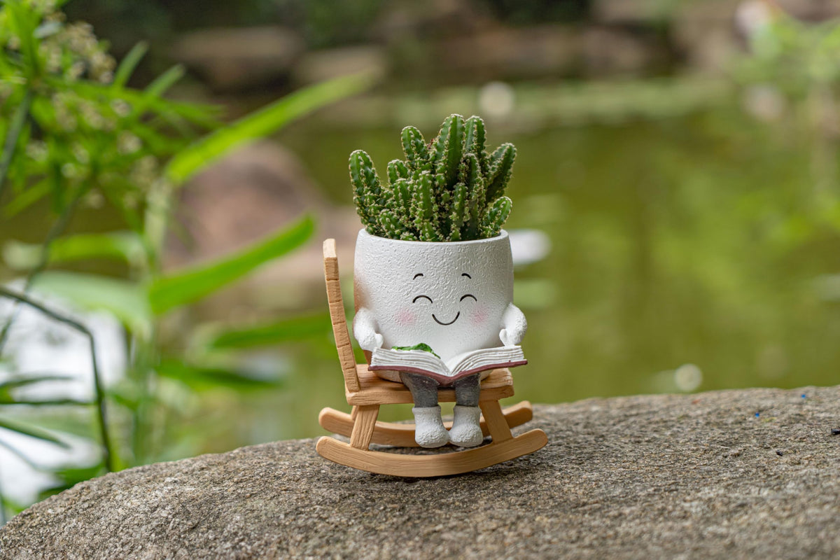 RZOIKZOI white compact succulent pot for shelves or desks.