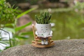 RZOIKZOI white compact succulent pot for shelves or desks.