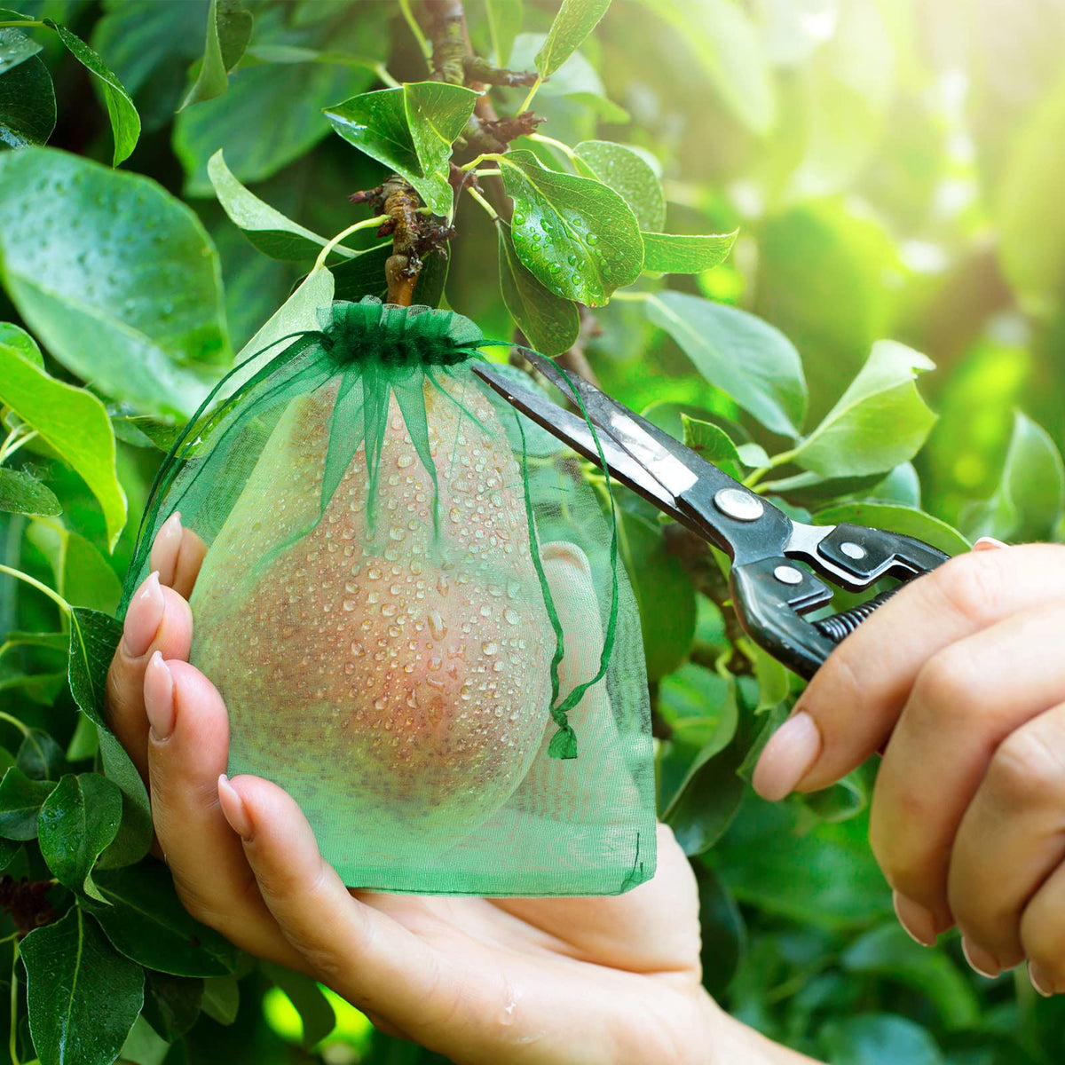 Sabary drawstring bags seal fruit securely and prevent damage.