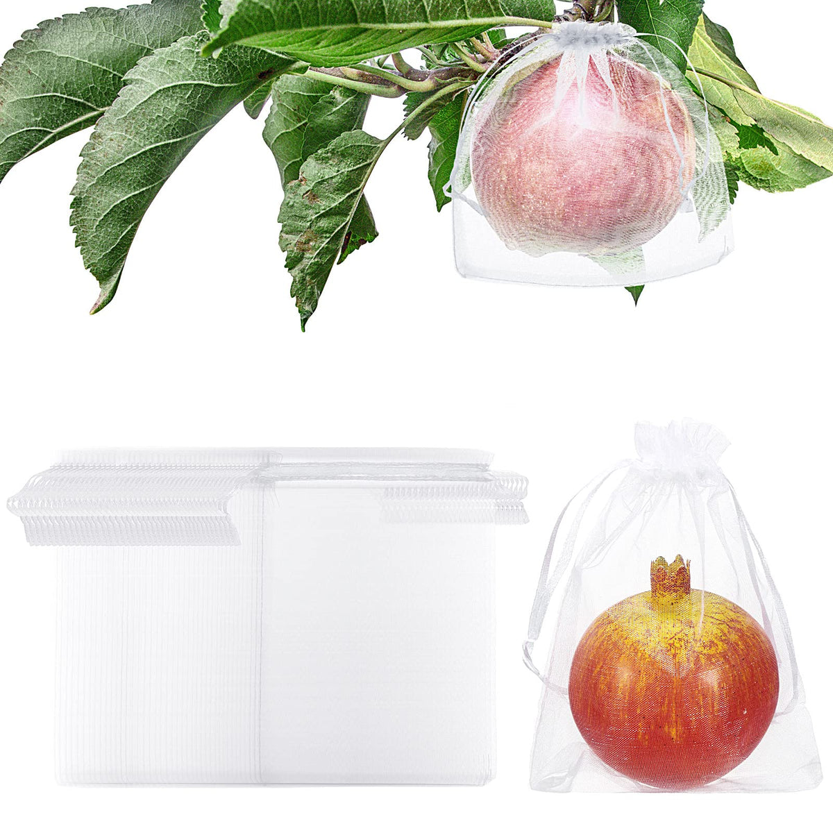 Sabary fruit protection bag with drawstring closure protecting fruit on the plant