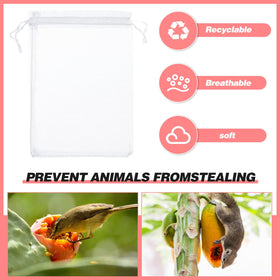 Sabary tomato protection bag shielding ripening fruit from birds