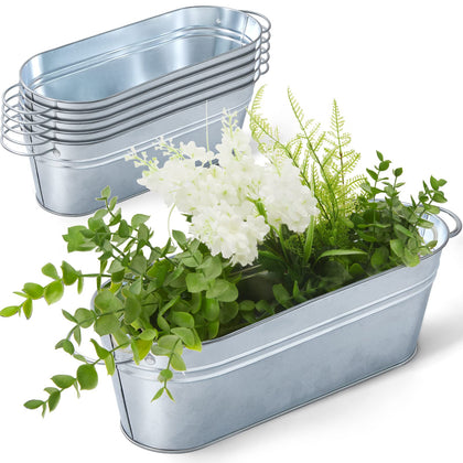 Sabary oval planter six-pack with handles for easy sun exposure and movement.