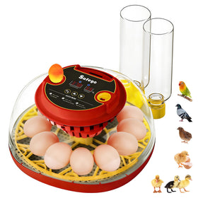 Safego incubator 12-24 egg 360 view lid for easy monitoring of embryo development