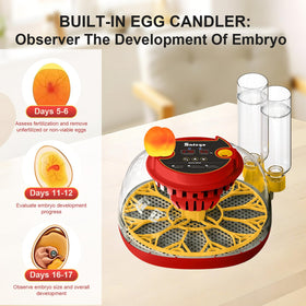 Safego incubator water replenishment bottles automatically maintain humidity levels
