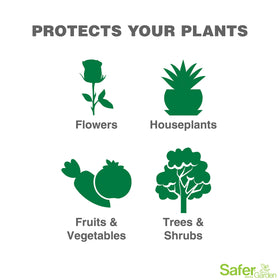 Neem Oil Spray on ornamental trees for comprehensive plant protection
