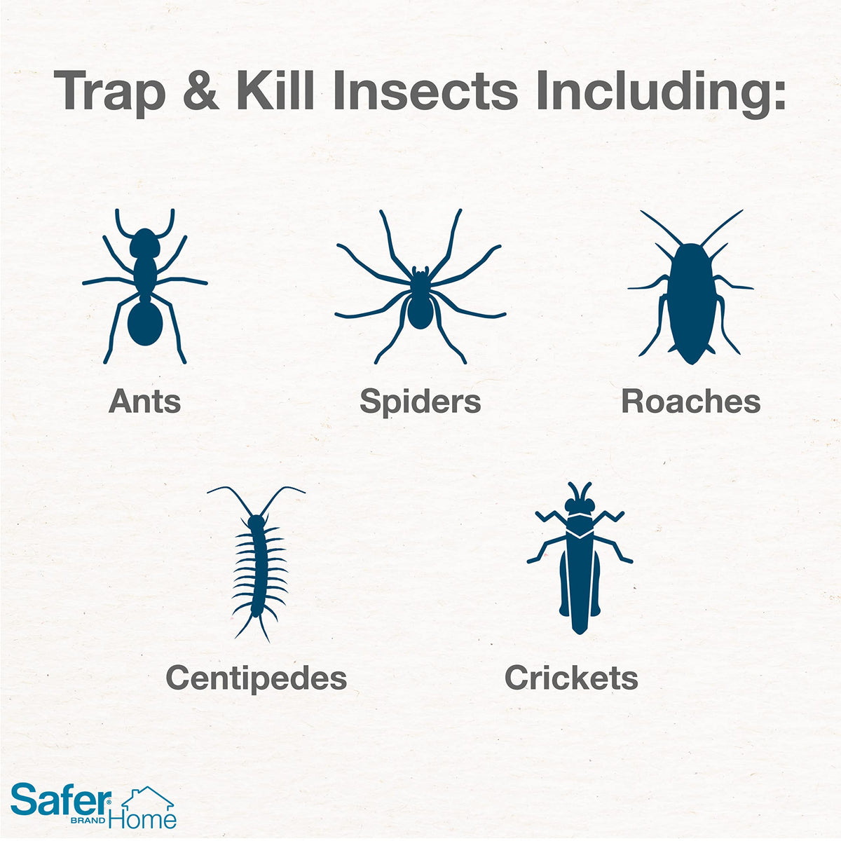 Safer Home trap folded to hide insects from view while protecting kids and pets