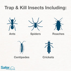 Safer Home trap folded to hide insects from view while protecting kids and pets