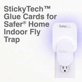 Safer Home StickyTech glue card captures fruit flies discreetly inside unit.