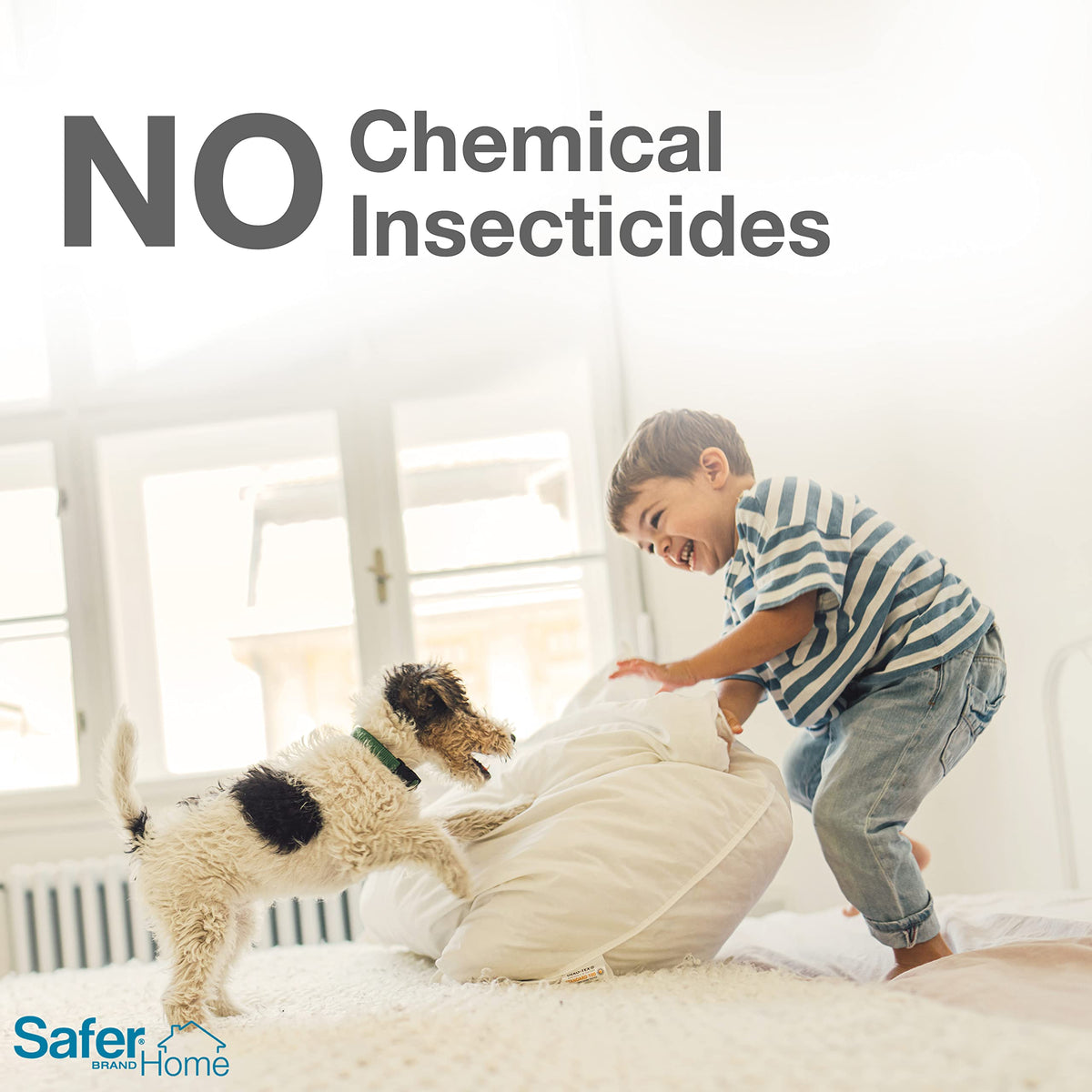 Safer Home trap placed under furniture for inconspicuous coverage against crawling pests