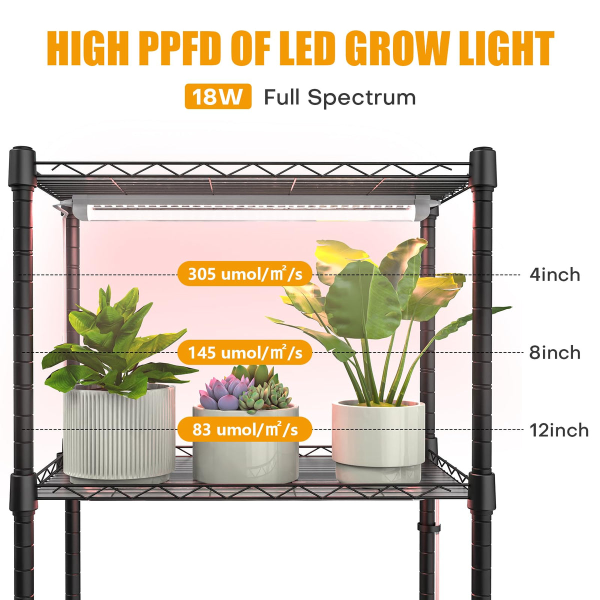 Sagrynfp transparent lid with roll-up door for easy watering and viewing