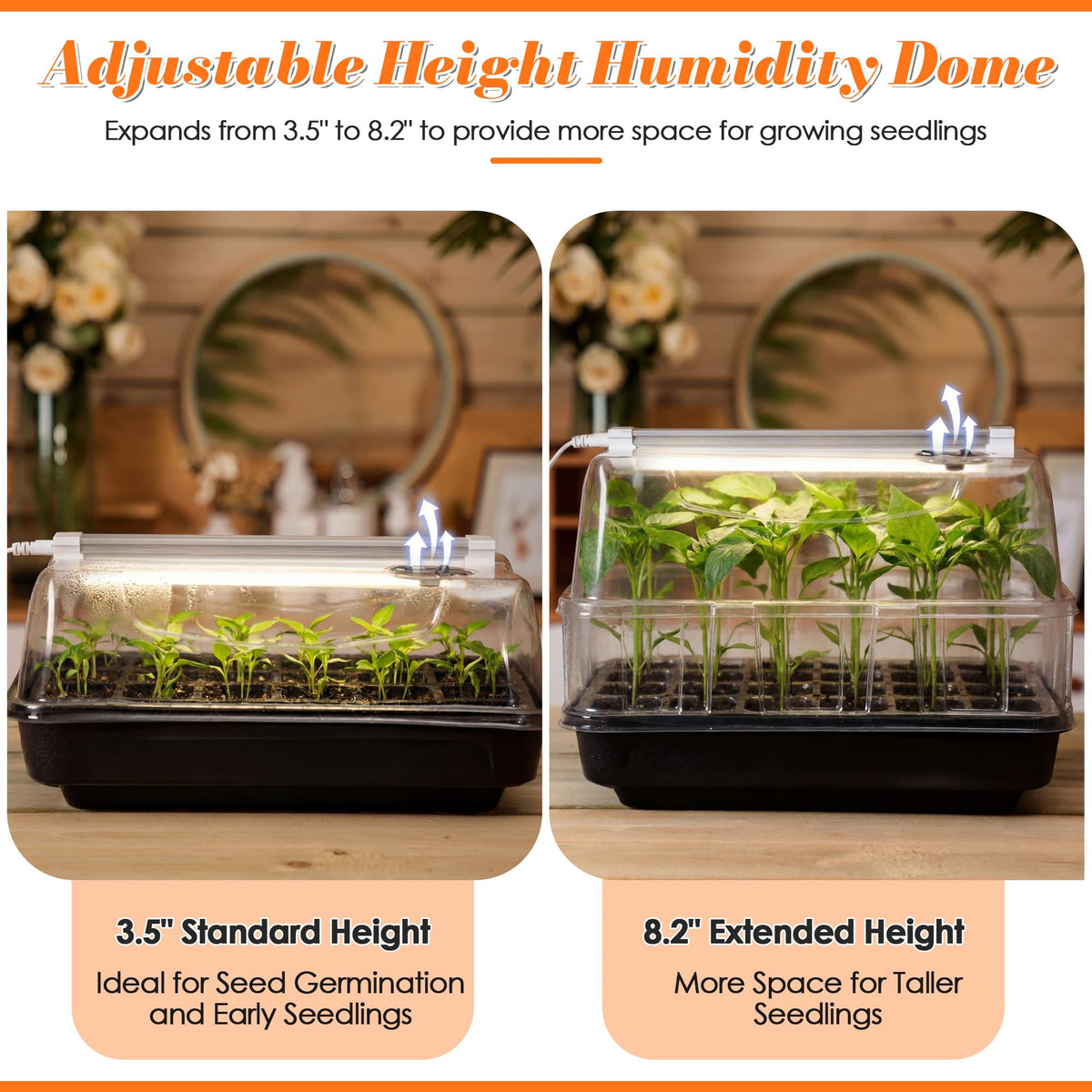 Saillong 24-hole seed tray fits inside the sturdy base