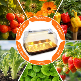 Saillong ABS base and PET dome provide a safe, clear propagation enclosure