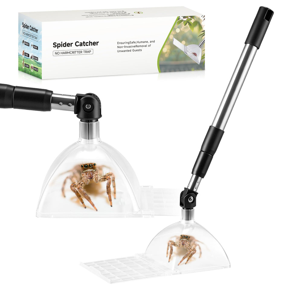 Saillong spider catcher with extended handle reaching high spots safely