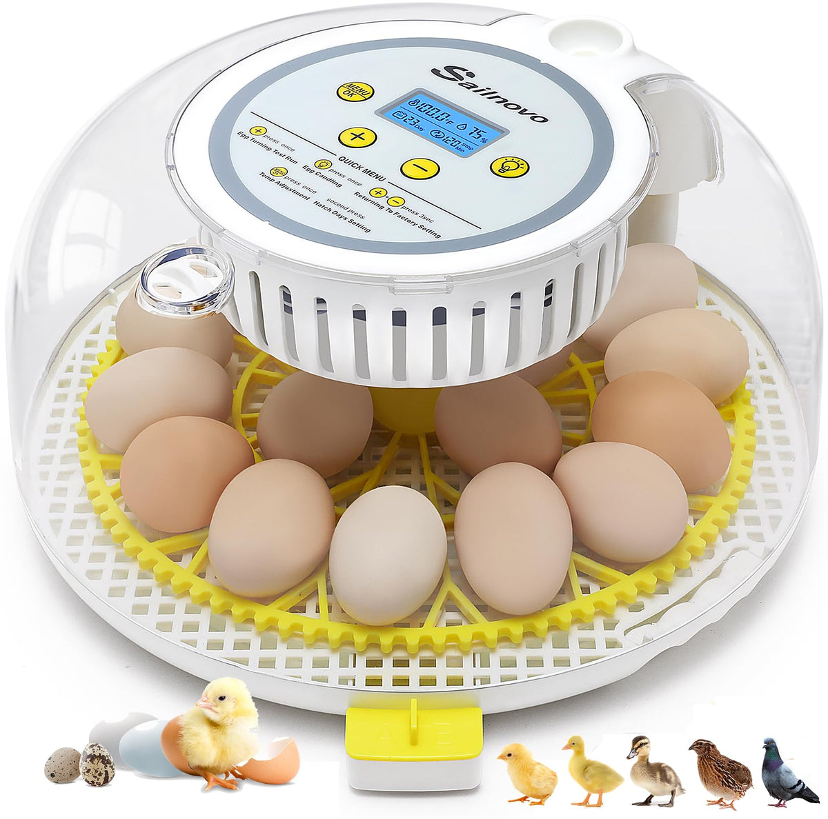 Sailnovo 18-egg incubator front view shows compact design ideal for classrooms