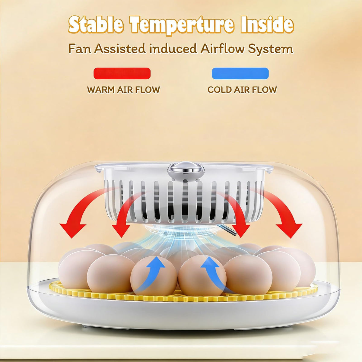 Sailnovo 18-egg incubator top view highlights organized layout for even heating