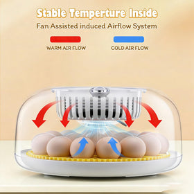 Sailnovo 18-egg incubator top view highlights organized layout for even heating