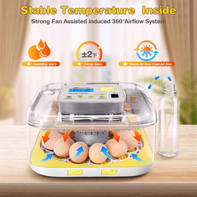 Sailnovo 360-degree view incubator lets you observe embryo development from all angles