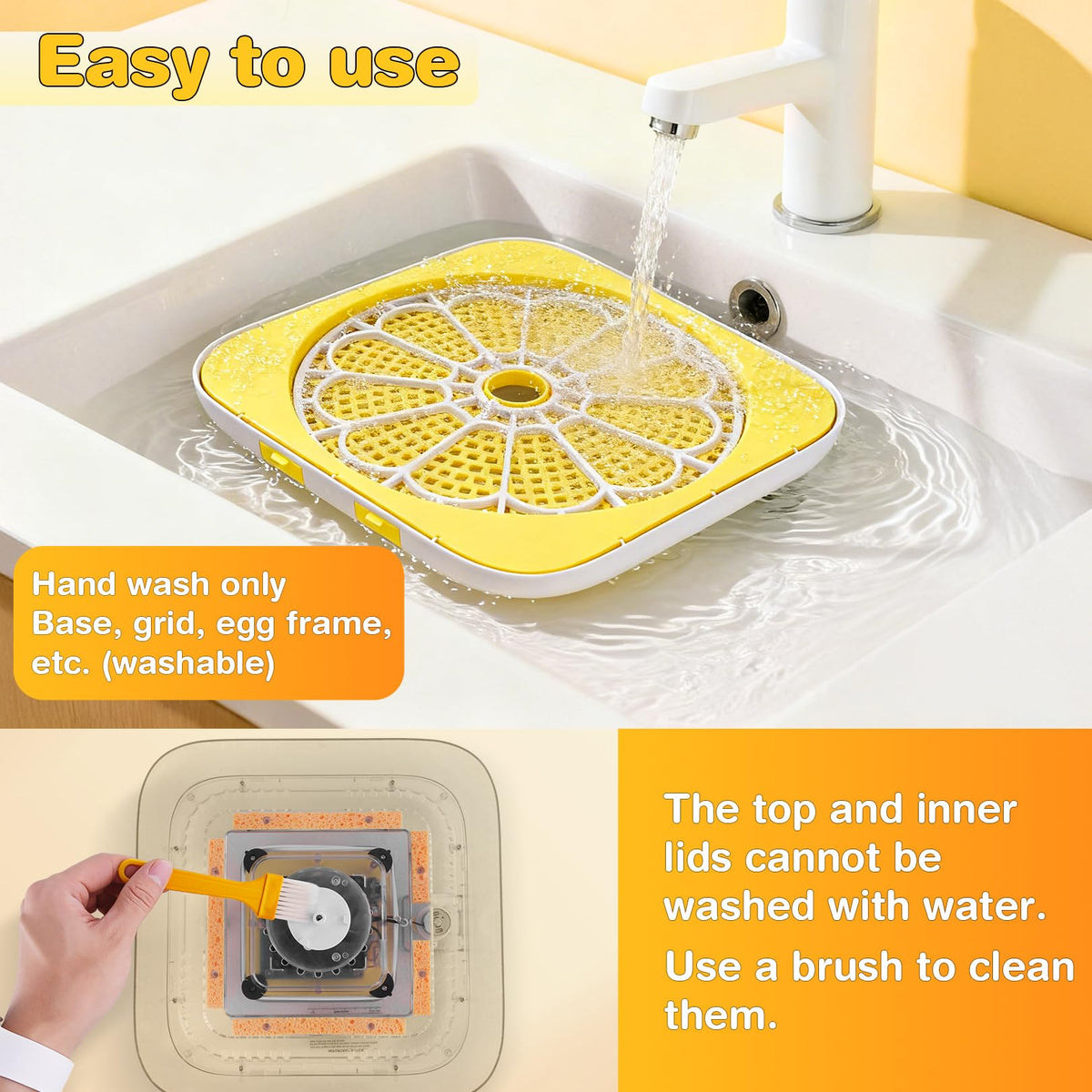 Sailnovo egg-tray grid helps organize eggs during incubation