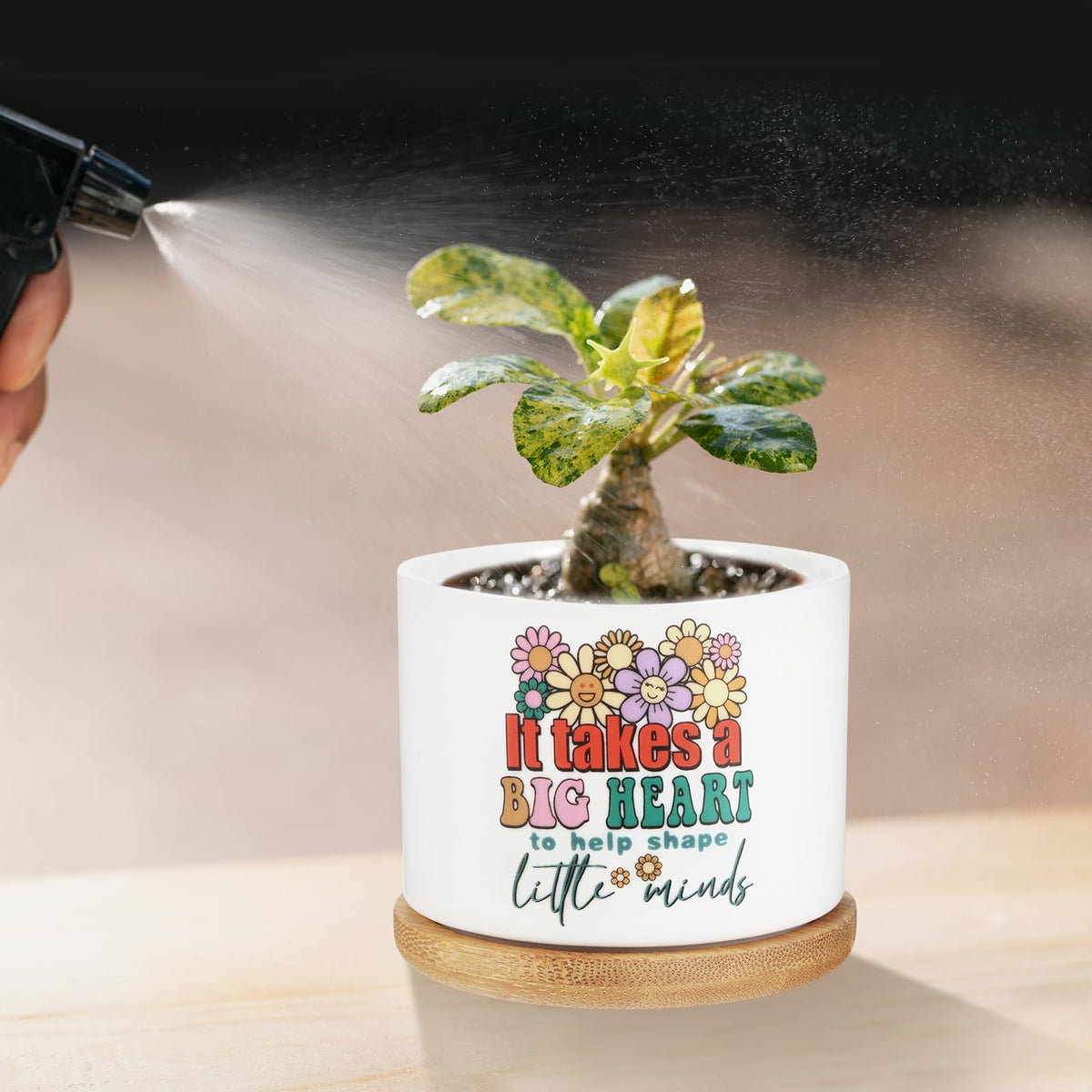 Bamboo trays protect desks while showcasing cute plant pots