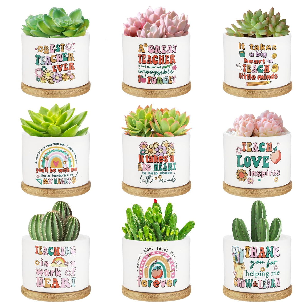SAIWEILAI ONLINE 9pc teacher succulent pots on a desk for thoughtful gifts