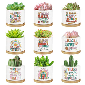 SAIWEILAI ONLINE 9pc teacher succulent pots on a desk for thoughtful gifts