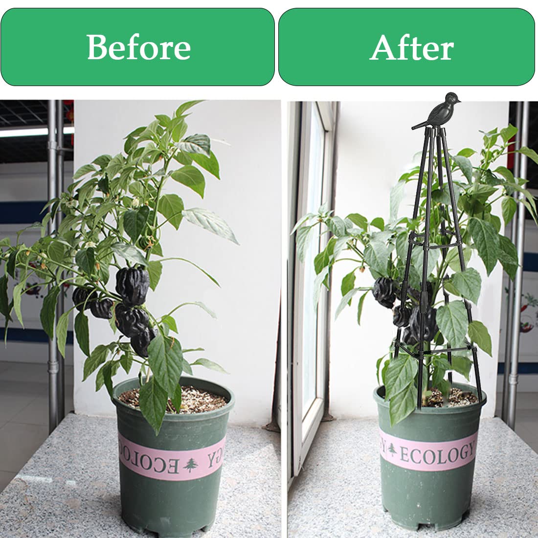 SAKOTE 2-pack garden trellis provides multiple plant supports.