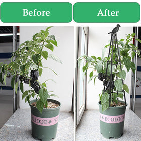 SAKOTE 2-pack garden trellis provides multiple plant supports.