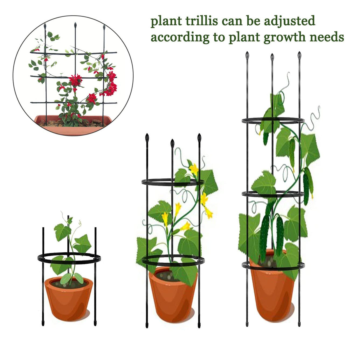 SAKOTE Sturdy steel frame supports heavy fruit and lush foliage.