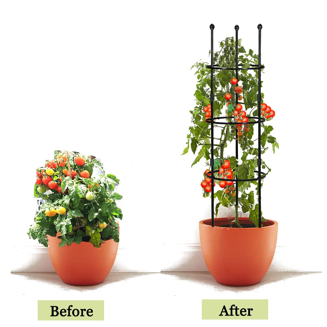 SAKOTE Versatile for flowers, vegetables, and vines in pots or in-ground.