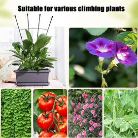 SAKOTE Garden Trellis adds beauty while providing practical plant support