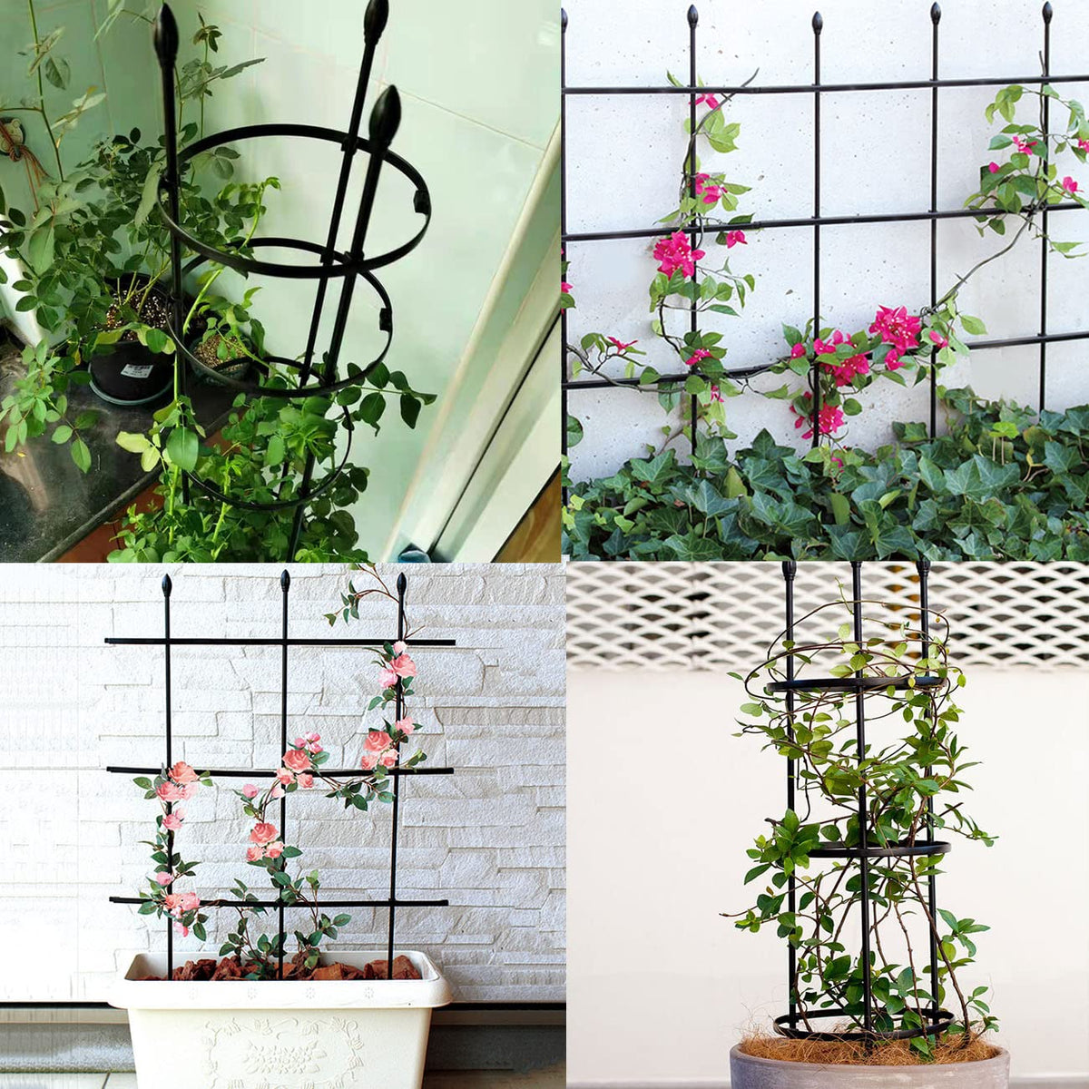 SAKOTE Indoor and outdoor use for tomatoes, roses, clematis, morning glory.