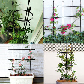 SAKOTE Indoor and outdoor use for tomatoes, roses, clematis, morning glory.