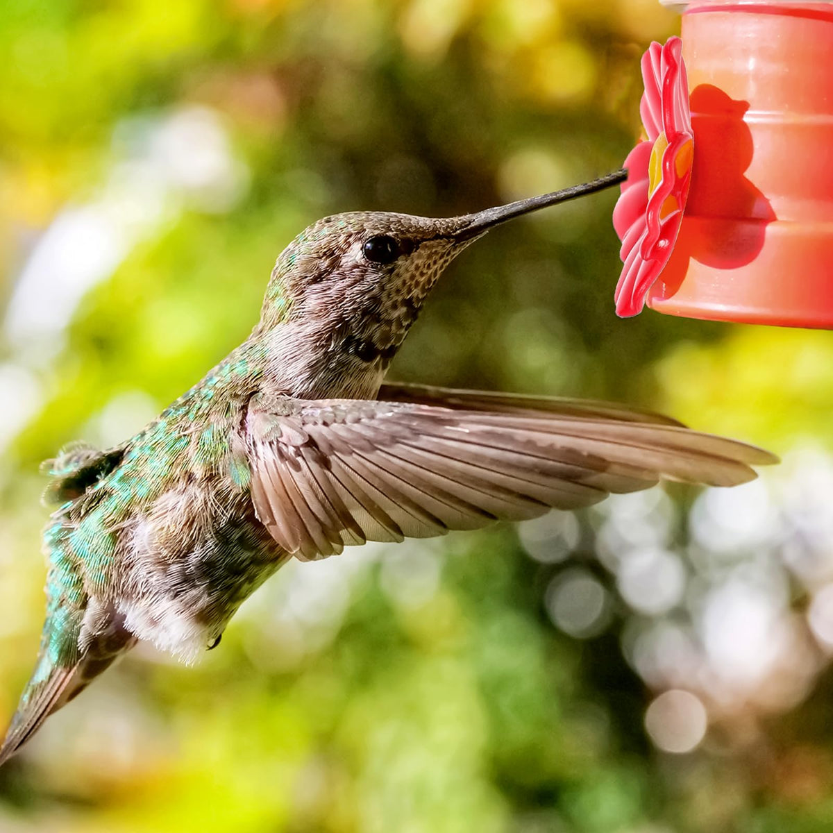 Salbsever bee guards provide durable, UV-proof protection for outdoor hummingbird feeders.