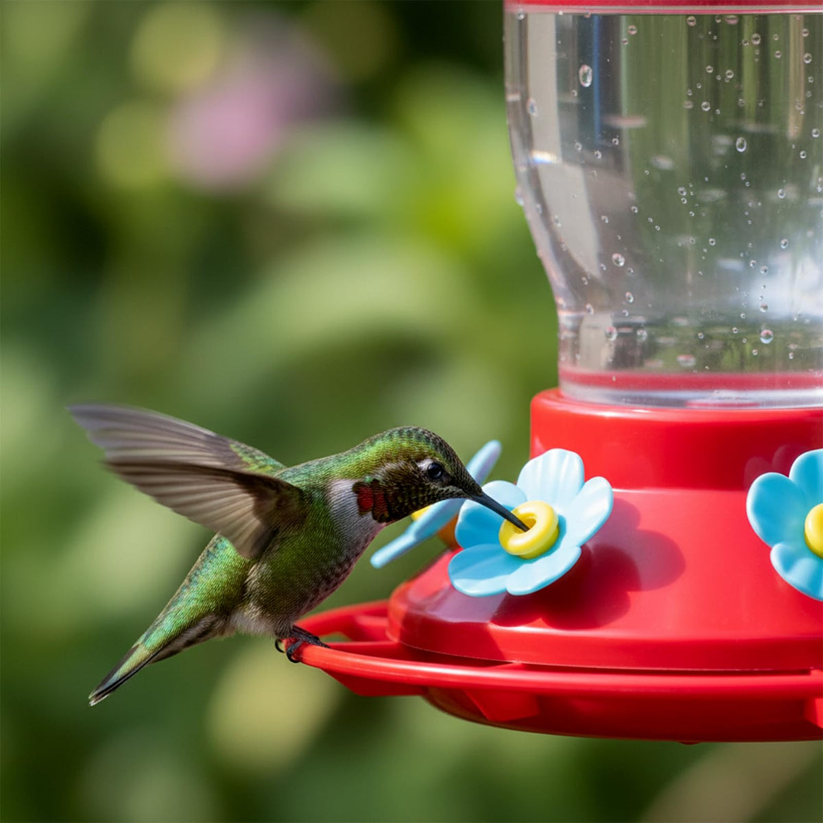 Salbsever tool-free installation offers a quick upgrade to your feeder.