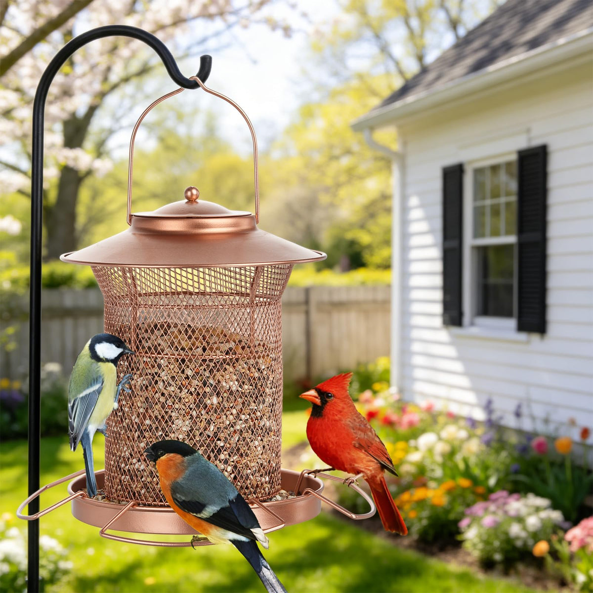 Samhe gift-ready bird feeder appeals to nature lovers and families.
