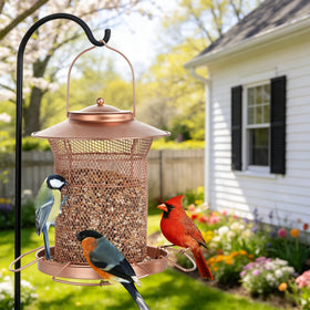 Samhe gift-ready bird feeder appeals to nature lovers and families.