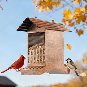 Samhe seed-level visibility through mesh-side panels.
