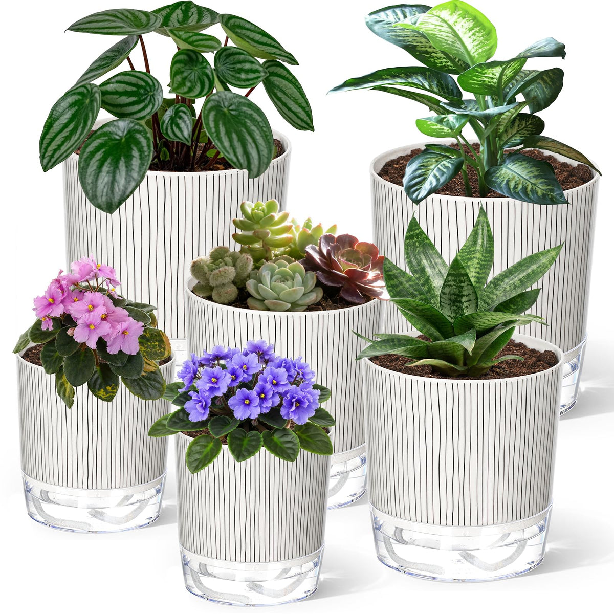 Samhe self-watering pot 4-inch side view with reservoir for easy care.