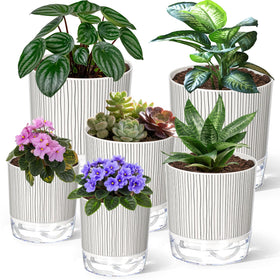 Samhe self-watering pot 4-inch side view with reservoir for easy care.