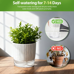 Samhe self-watering pot side view showcases sleek black stripes for modern interiors.