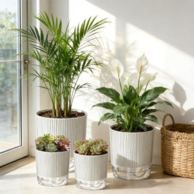 Samhe self-watering pot wick cotton detail demonstrates automatic moisture delivery.