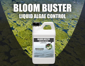 Pond clarifier compatibility with Bloom Buster for improved clarity