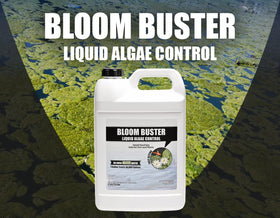 Koi and goldfish safe setup using Bloom Buster in the pond