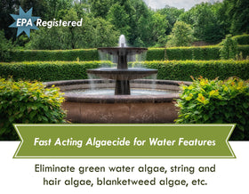 Pouring Sanco Fountain Algaecide into a pond to begin treatment.
