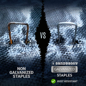 Sandbaggy staples used to secure drip irrigation lines outdoors.