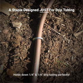 Sandbaggy drip-tubing-stake-single-prong-design simplifies soil insertion.