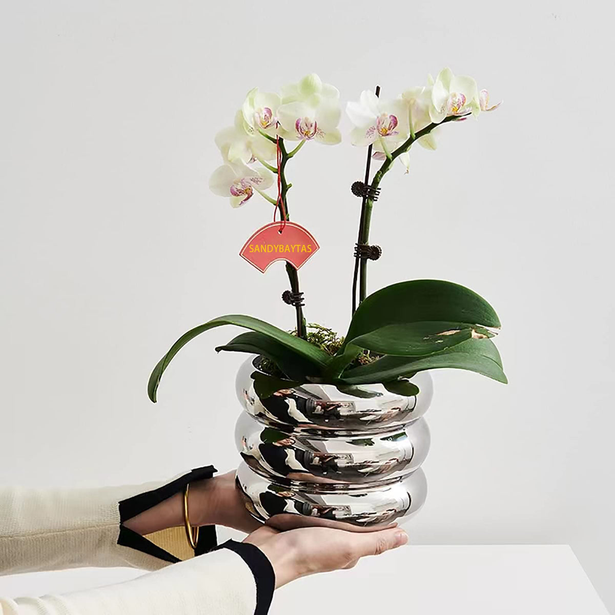 SANDYBAYTAS ceramic pot shows drainage hole for healthy watering