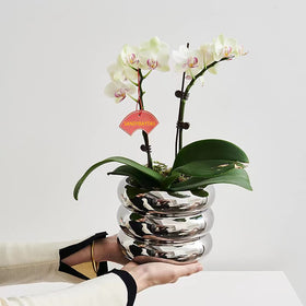 SANDYBAYTAS ceramic pot shows drainage hole for healthy watering