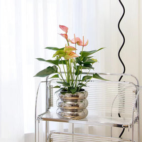 Indoor outdoor versatile SANDYBAYTAS ceramic pot in silver