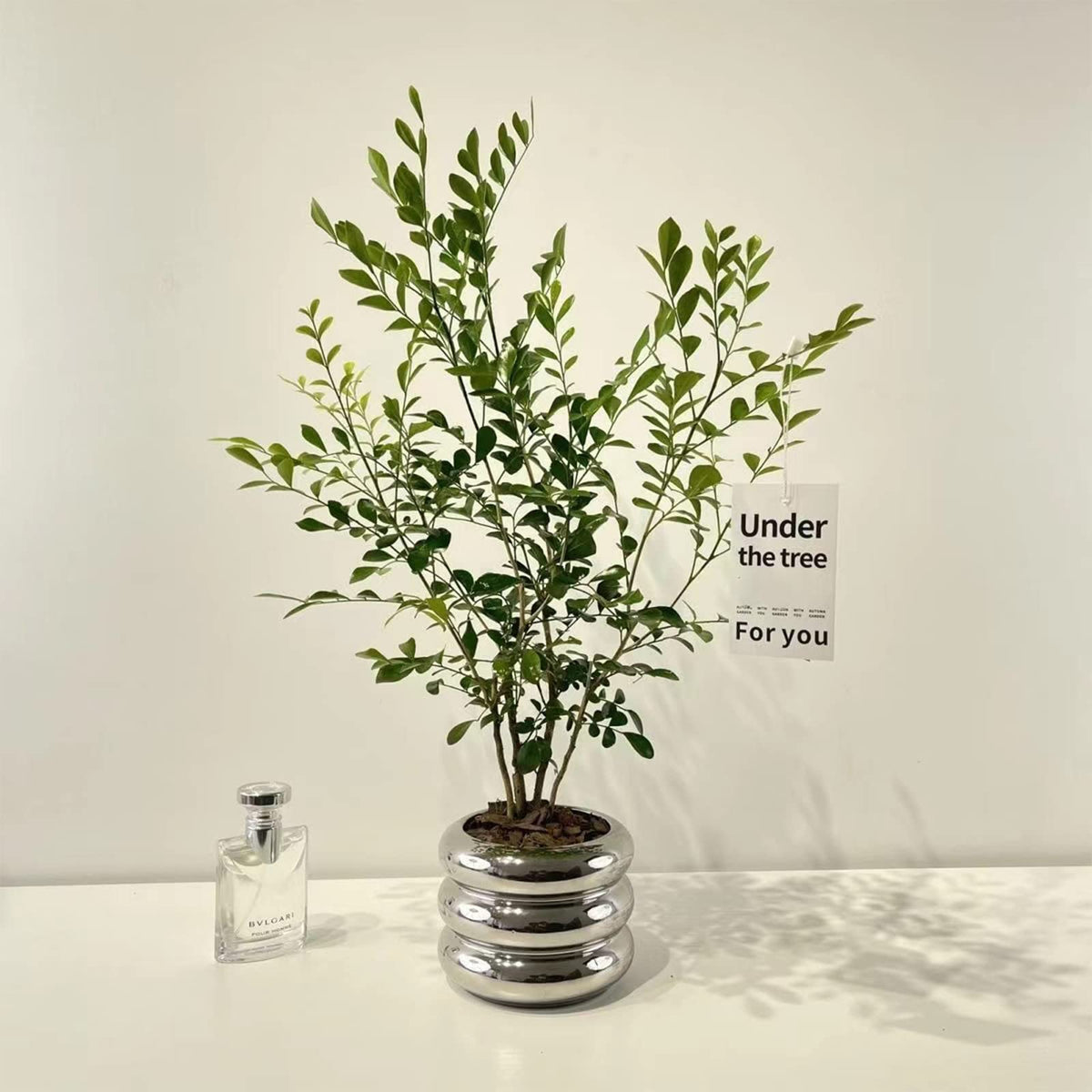 SANDYBAYTAS pot displayed in a modern home office setup